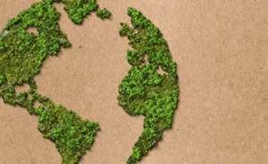 Earth Day 2022: How You Can Make A Positive Impact