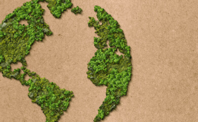 Earth Day 2022: How You Can Make A Positive Impact