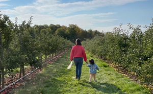 Apple Picking Near Toronto & The GTA