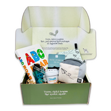 Premium Toy Box
