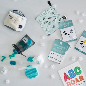Premium Toy Box